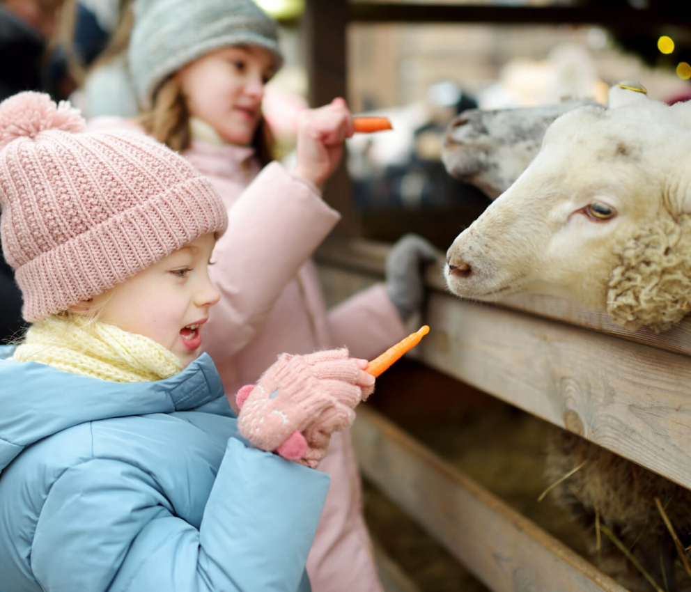 Farm Park Scheduling Software