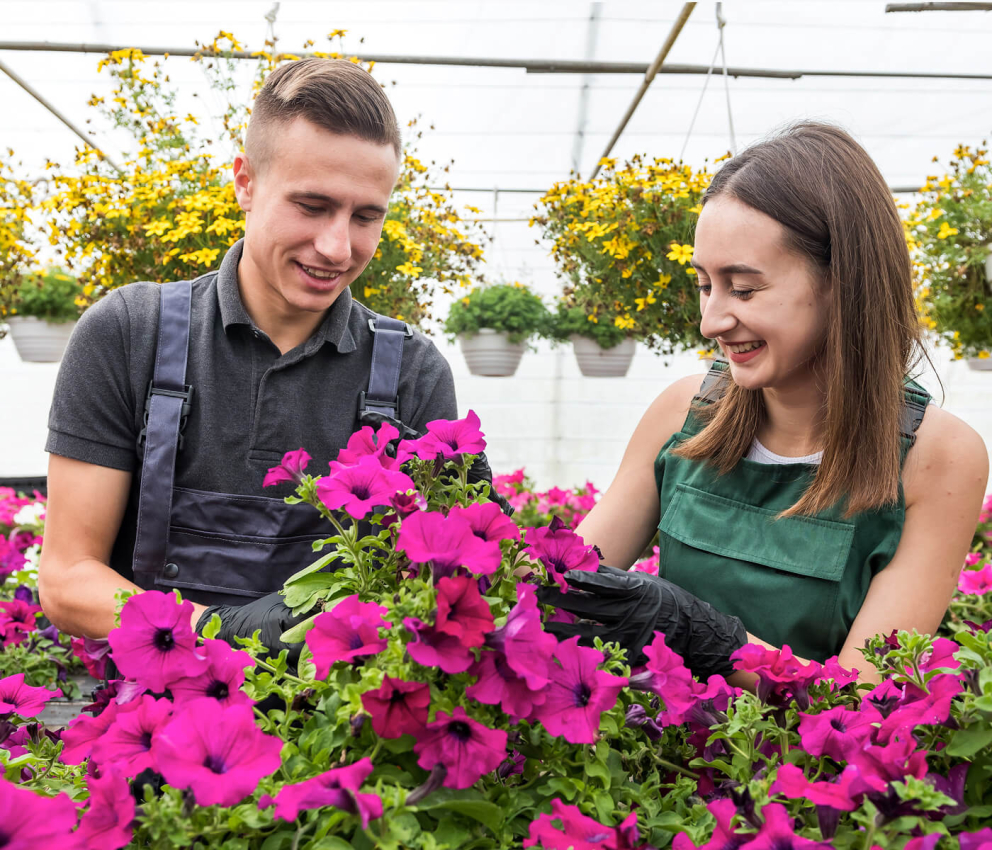 Garden Centre Scheduling Software