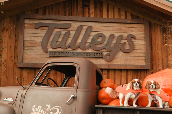 Tulleys Farm