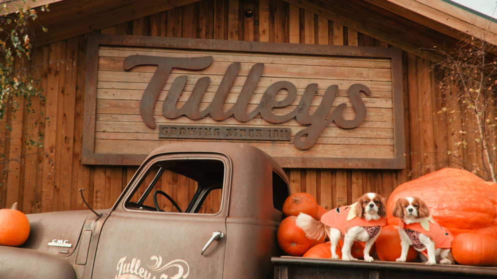 Tulleys Farm